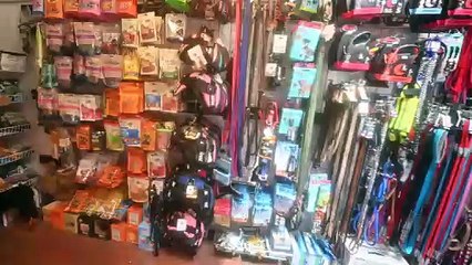 Pamper Pooch in Bridgnorth is the all you need shop for your special little friend