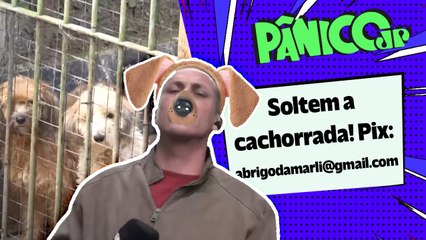 RESGATE ANIMAL EM PÂNICO! APÓS AJUDAR MASCOTE DO PROGRAMA, FUZIL VOLTA A ABRIGO E AQUECE OS CORAÇÕES