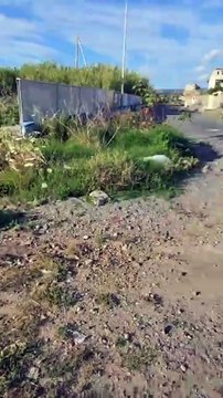 Ripepi - LUNGO MARE DI GALLICO DEVASTATO. FORZA REGGINA. (30.05.25)