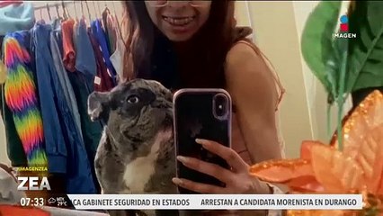 Le robaron a su perrito y ahora le piden 2 mil pesos para regresárselo con vida