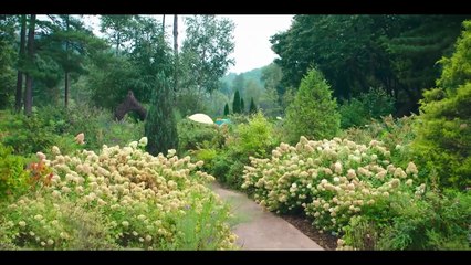 Hasta que el Cielo nos Reuna Cap 11 Latino