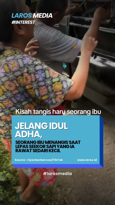 Jelang Idul Adha, Ibu Ini Sedih Lepas Sapi Yang Ia Rawat Dari Kecil
