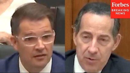 Jamie Raskin Asks Expert About Consequences Of Revoking Worker Visas On American AI Innovation