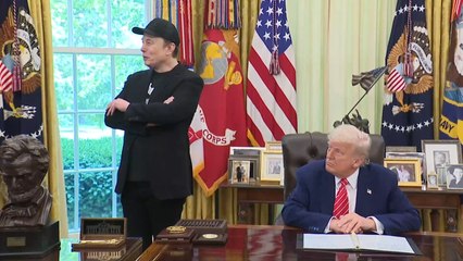 WATCH: Donald Trump piles praise on Elon Musk after 'fallout rumours' - 'He is a great guy!'