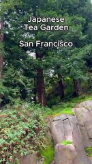 Exploring San Francisco's Breathtaking Japanese Tea Garden!