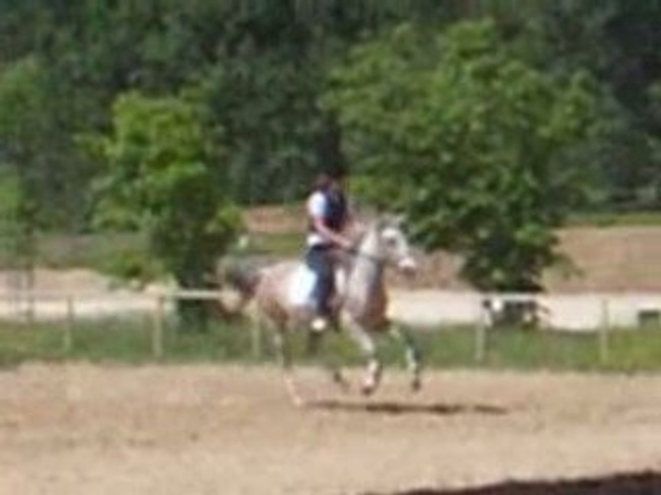 Mambo "Galop2"