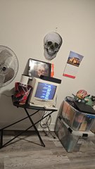 closing to the little mermaid