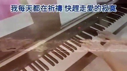 台灣經典民謠鋼琴曲｜國語老歌輕音樂精選🎶