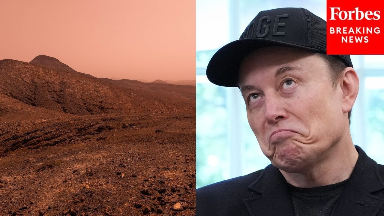 Elon Musk Laughs Asked What Is Easier — Colonizing Mars, Or Making The Government More Efficient