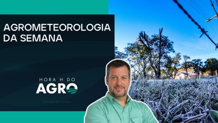 Por Dentro do Clima: secas e geadas devem impactar o setor  | HORA H DO AGRO