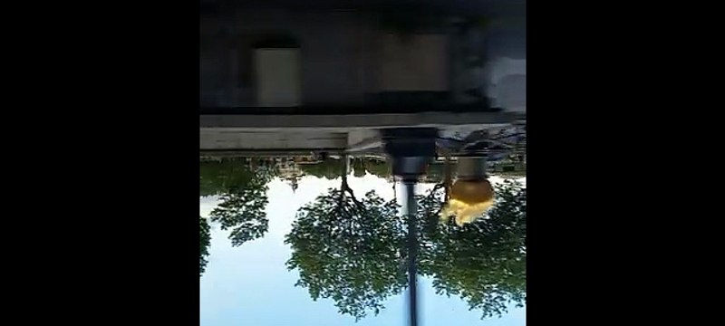 Paris The Magic of the French Capital #france #paris #paristour #pariscity #travel #traveling (5)