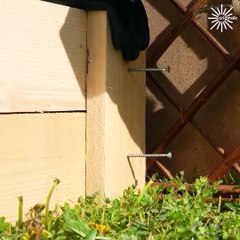 Simple garden bed edging anyone can tackle!