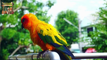 Milo Na Tum To - Evergreeen Hindi Hit songs