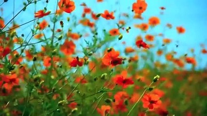 qudrat ka ajeeb karishma story