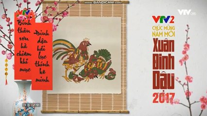 IDENT VTV2 TẾT ĐINH DẬU 2017 (3)