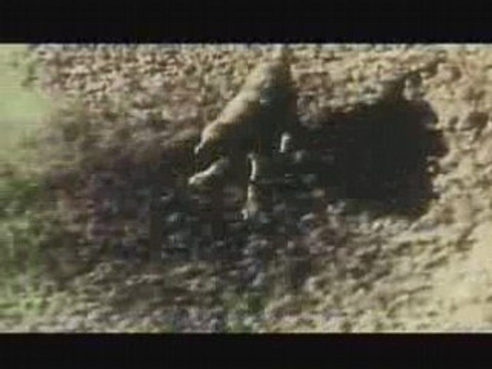 SAEZ Jeunesse lève-toi