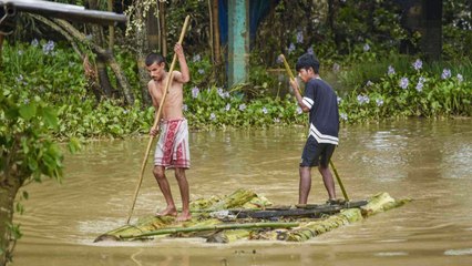 Flood-like situation in Assam's Lakhimpur, people use wood logs to commute