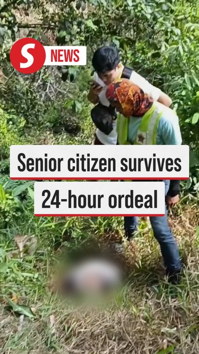 Elderly man rescued after car plunges down 30-meter slope