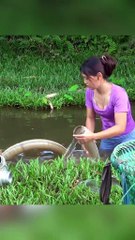 Wanita cantik cari ikan