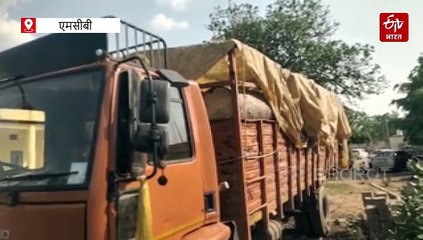 एमसीबी में खुलेआम हो रही लकड़ी तस्करी, सवालों के घेरे में वन विभाग के जिम्मेदार