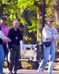 🤣🤣🤣Funny Videos - Funniest Kittens - Cats And