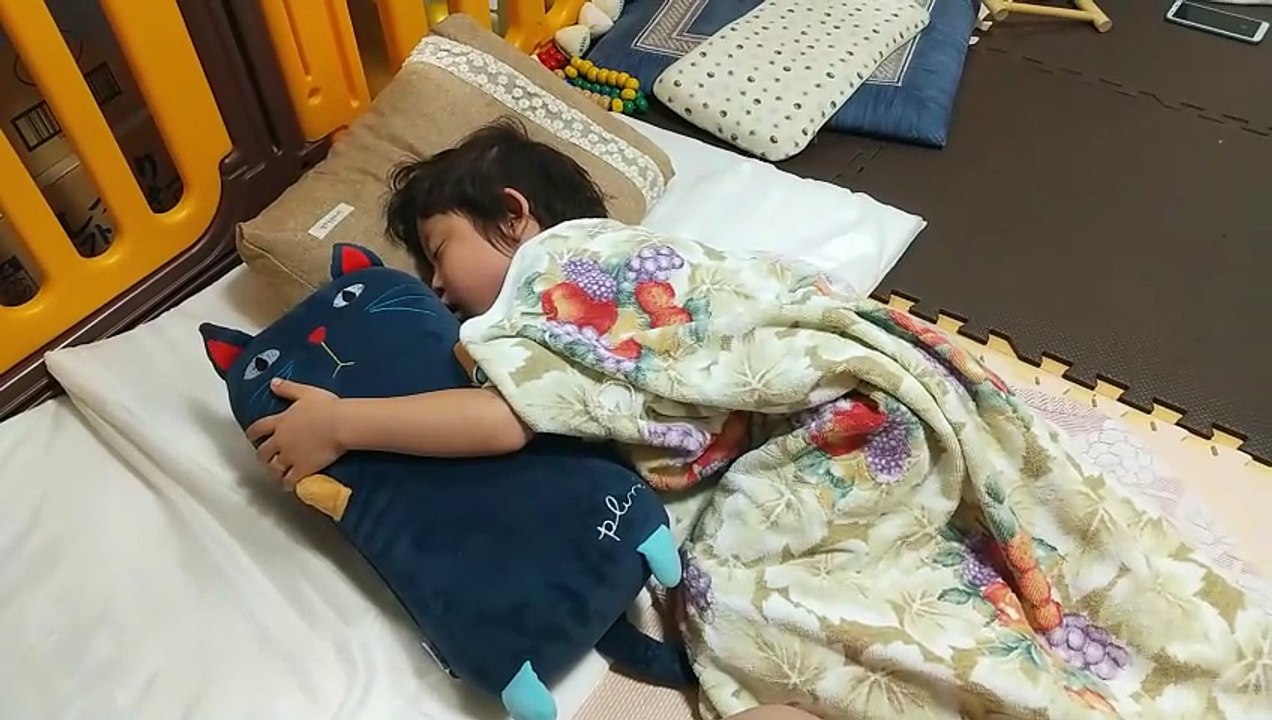 猫のぬいぐるみにチューしてる？抱きついて眠る4歳児男の子（発達障がい（知的障害）-自閉性スペクトラム症）