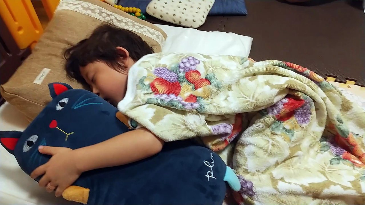 猫のぬいぐるみと一緒に仲良くスヤスヤ眠る4歳児男の子（発達障がい（知的障害）-自閉性スペクトラム症）