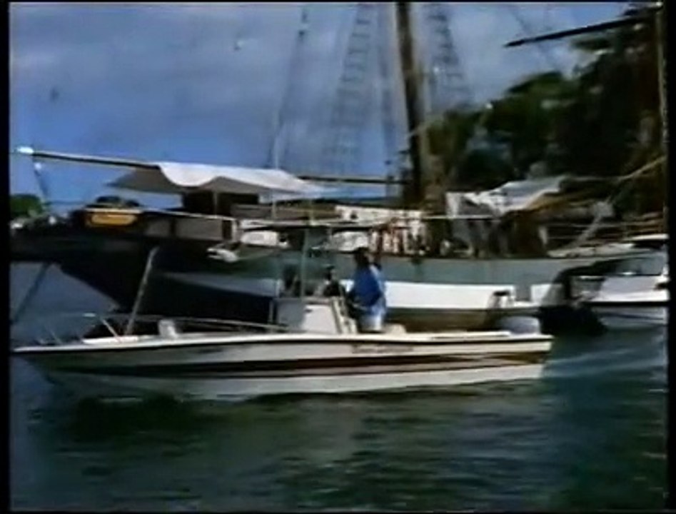 Humpback Whale-The Giant of the Oceans