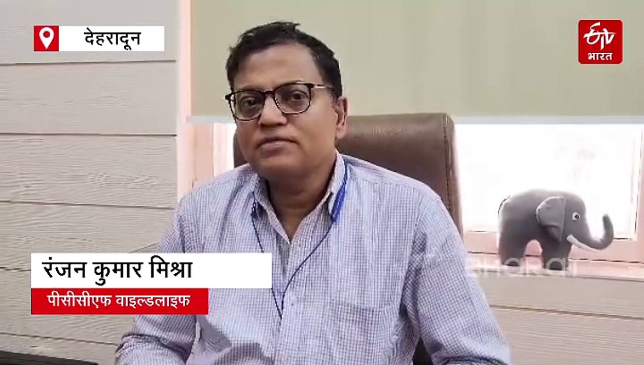 ऋषिकेश रेंज में मिल रही प्रोजेक्ट टाइगर के पांचवें बाघ की लोकेशन, जानिए इस बात से क्यों बढ़ी महकमे की चिंता