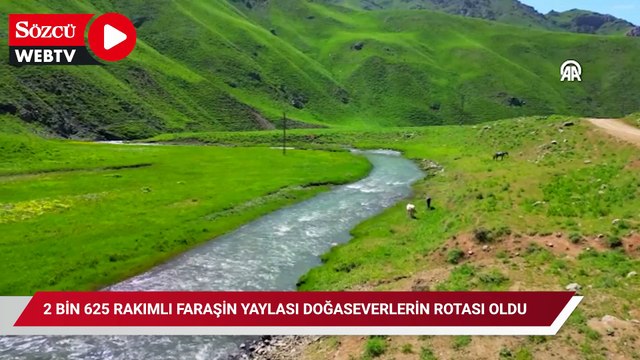 2 bin 625 rakımlı Faraşin Yaylası doğaseverlerin rotası oldu