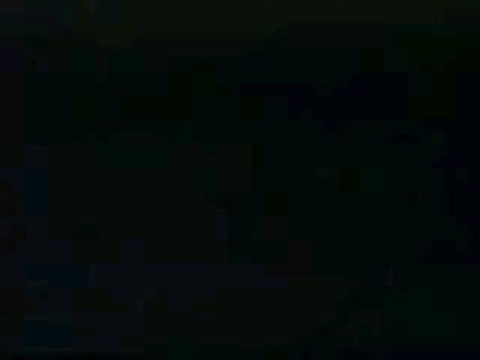 Clairol Herbal Essence Shampoo