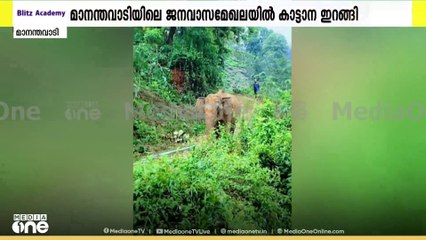 വയനാട് പഞ്ചാരക്കൊല്ലി താഴെ ചിറക്കരയിൽ തേയിലതോട്ടത്തിന് സമീപം ജനവാസ കേന്ദ്രത്തിൽ കാട്ടാനയിറങ്ങി