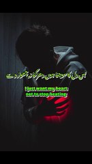 Journey of words