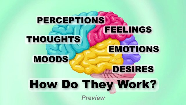 Perceptions, Feelings, Thoughts, Emotions, Moods & Desires (Chapter 21 preview)
