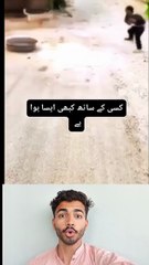 Dog Tries to Attack... But Gets Karma Back Instantly! 🤯😂