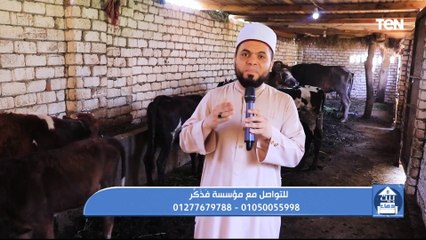 عقوبة النميمة.. وجهود مؤسسة  فذكر في أعمال الخير | بيت دعاء