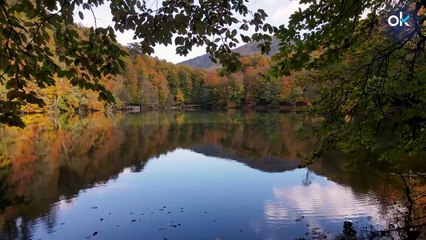 Hallan en el río Tajo varios ejemplares de un animal gigantesco que se creía extinto en la península