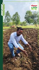 आजही शेतकरी करताय लाकडी औताने नांगरणी