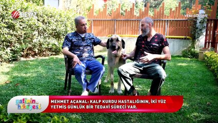 Patinin Hikayesi 31 Mayıs 2025