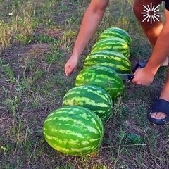 The most refreshing watermelon drink ever🍉🍉