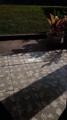 اللہ کے سوا کوئی معاف نہیں کرتا | ایمان افروز مختصر ویڈیو