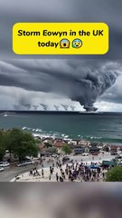 Ai animated Cat funny video. Viral Cats - Ep 265