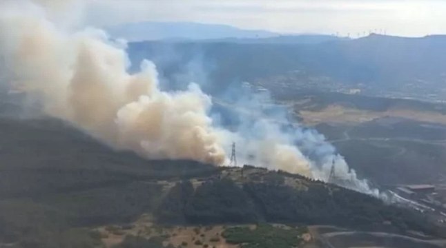 İzmir'de orman yangını: Havadan ve karadan müdahale sürüyor