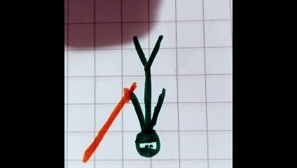 Ninja  verde personaggi