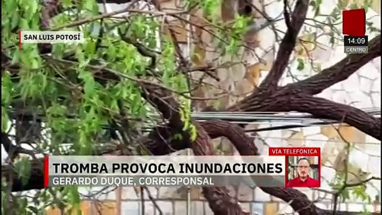 San Luis Potosí: Tromba provoca árboles caídos y avenidas inundadas