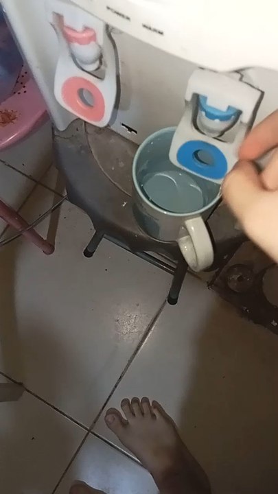 Prank Iseng Gara Gara Ganggu Joel Anak Kucing