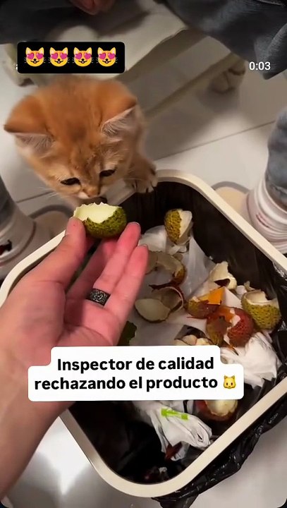 El Michi inspector 😹