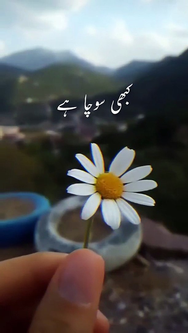 ⁣Urdu Quotes | Urdu Poetry | Hindi Quotes | Urdu Songs | Hindi Songs #15