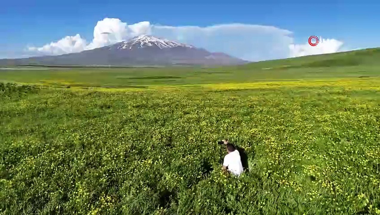 Bitlis'ten muhteşem manzaralar! Yayla çiçeklerle renklendi, yeşil ve mavinin uyumu