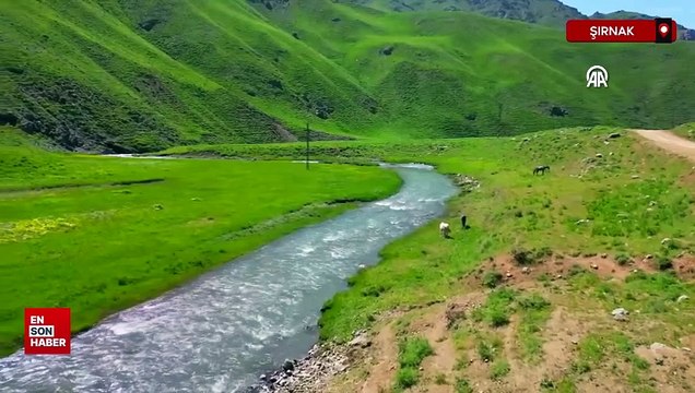 Faraşin Yaylası: Doğaseverlerin yeni uğrak noktası